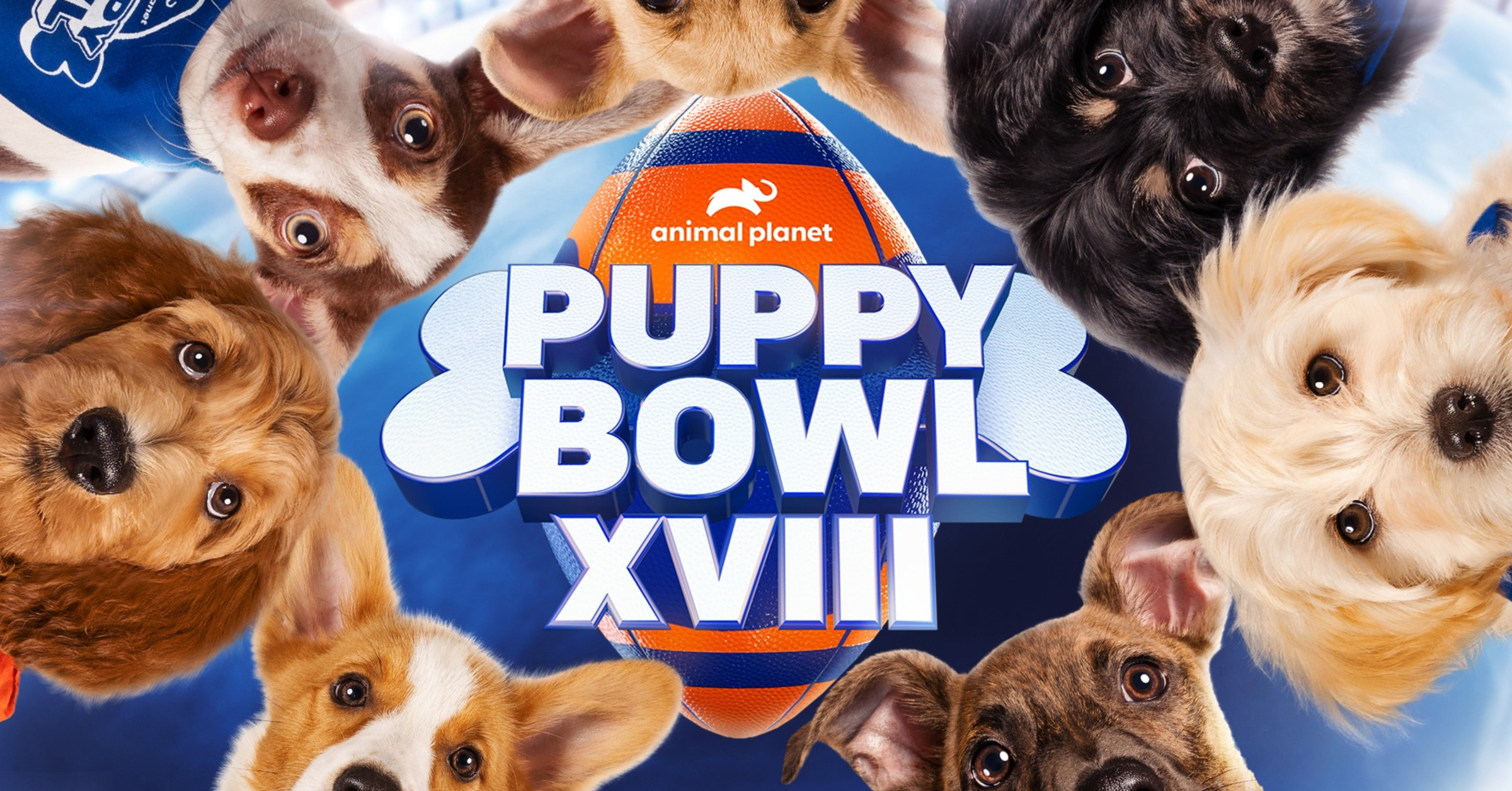 Puppy Bowl 2022 Pledge