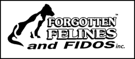 Forgotten Felines & Fidos
