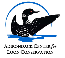 Adirondack Center For Loon Conservation