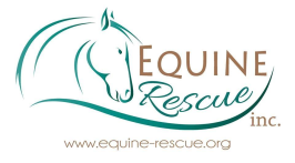 Equine Rescue