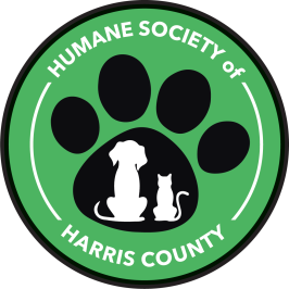 charity logo