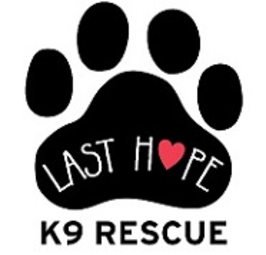 Last Hope K9 Rescue