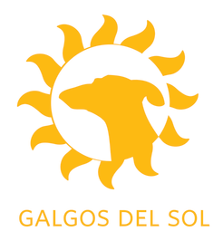 Galgos Del Sol Usa