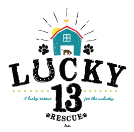 Lucky 13 Rescue