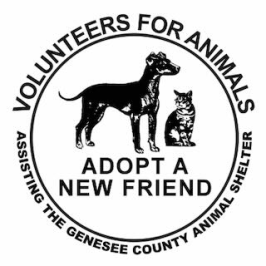 Volunteers For Animals Of Batavia