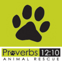 Proverbs 1210 Animal Rescue