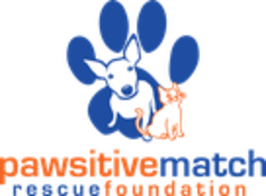 Pawsitive Match Rescue Foundation
