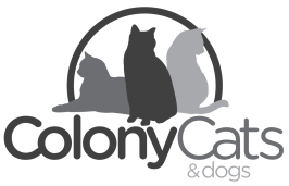 COLONY CATS