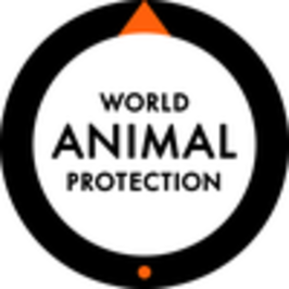 World Animal Protection