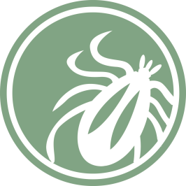 Lyme Disease.Org