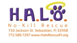 HALO Helping Animals Live And Overcome