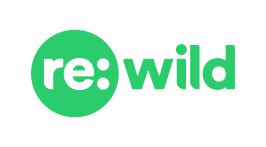 Re:Wild logo