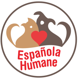 charity logo