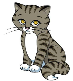 Feral Cats Of East Windsor