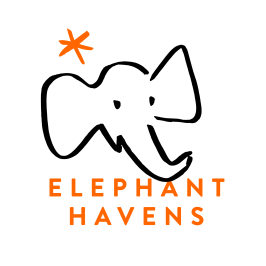 Elephant Havens Wildlife Foundation