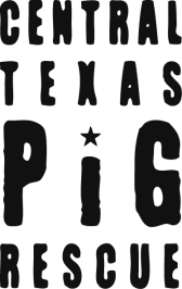 Central Texas Pig Rescue