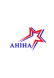 American Hearing Impaired Hockey Association