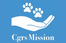 Cgr's Mission Inc