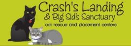 Crash's Landing