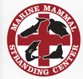 Marine Mammal Stranding Center