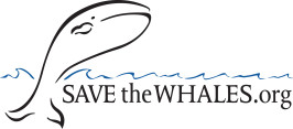 Save The Whales