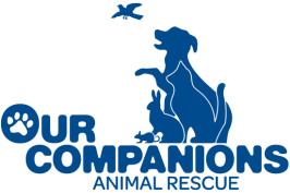 Our Companions Domestic Animal Sanctuary