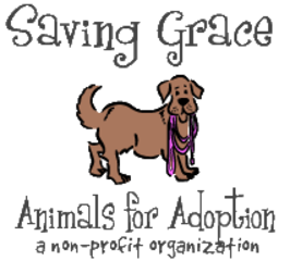 Saving Grace Animals For Adoption