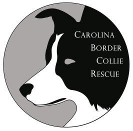 Carolina Border Collie Rescue