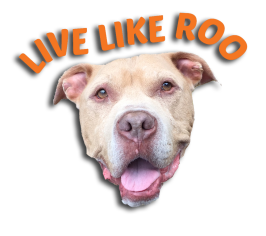 The Live Like Roo Foundation