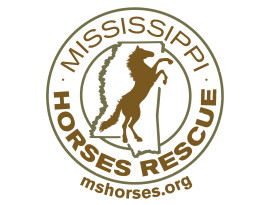 Mississippi Horses