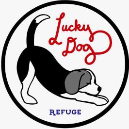 Lucky Dog Refuge