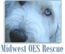charity logo