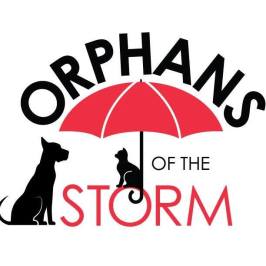 Orphans Of The Storm