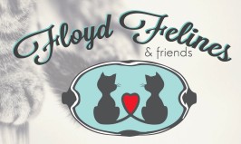 Floyd Felines And Friends