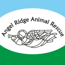 charity logo