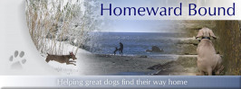 Homeward Bound Dog Rescue Of New York Ltd