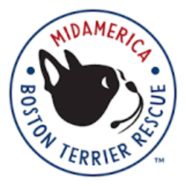 Midamerica Boston Terrier Rescue
