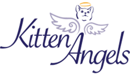 Kitten Angels