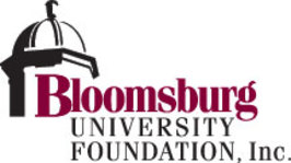 THE BLOOMSBURG UNIVERSITY FOUNDATION INC