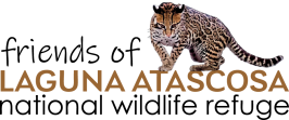 FRIENDS OF LAGUNA ATASCOSA NATIONAL WILDLIFE REFUGE