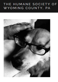The Humane Society Of Wyoming County