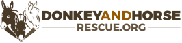 Assoc For Donkey And Equine Haven