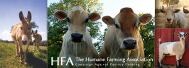 Humane Farming Association