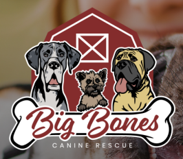Big Bones Canine Rescue Service