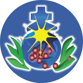 St John Of God Community Services