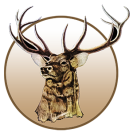 Illinois Elks Childrens Care