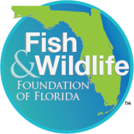 Fish & Wildlife Foundation Of Florida