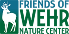 charity logo