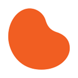 NATIONAL KIDNEY FOUNDATION INC - ORLANDO