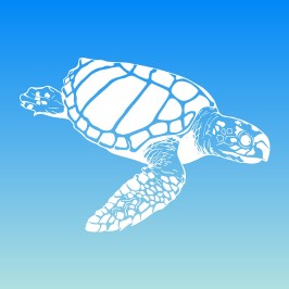 Loggerhead Marinelife Center